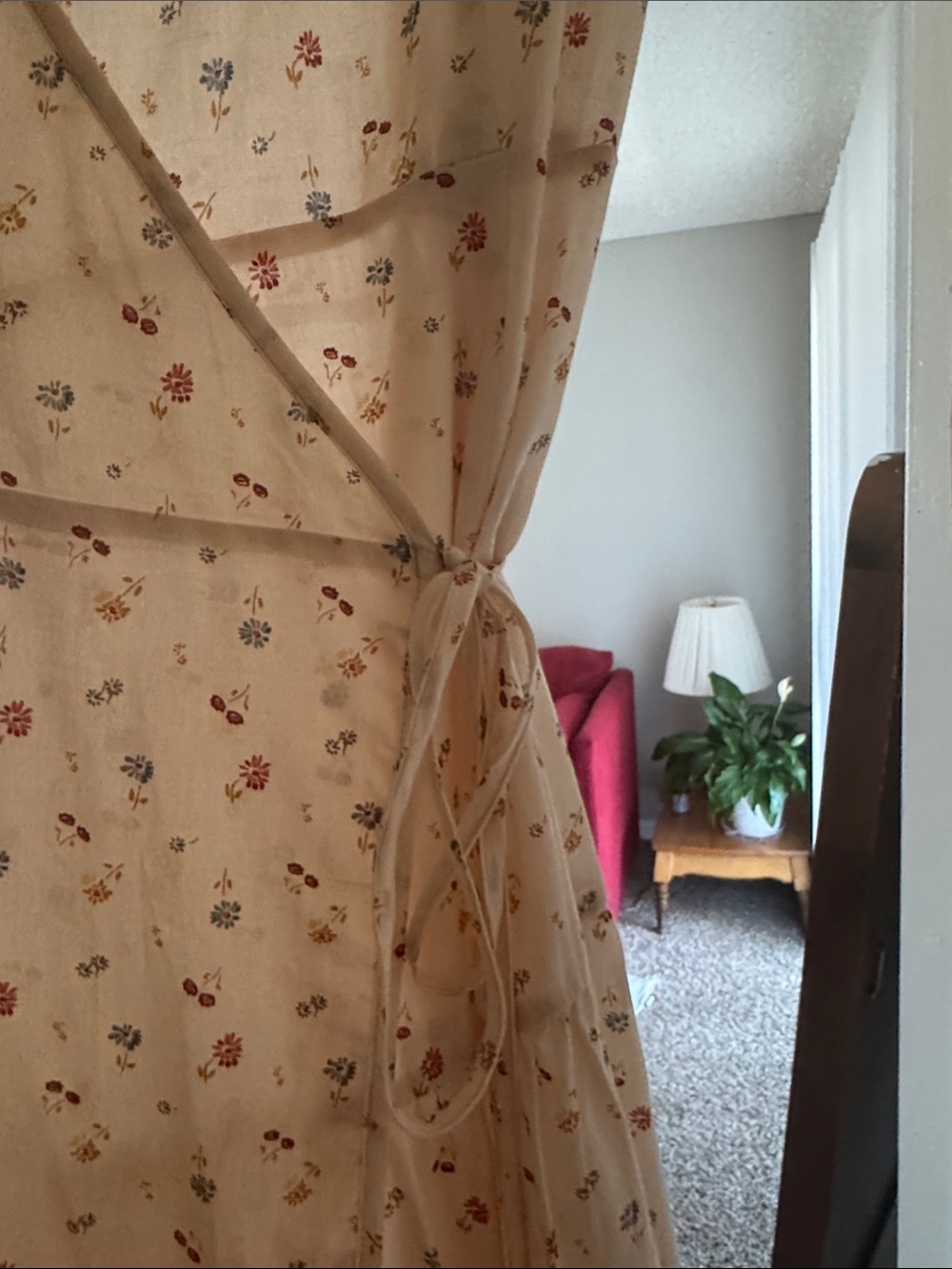 Christy Dawn Augusta Midi Dress in Carnelian Aster Garden - Picture 10 of 16